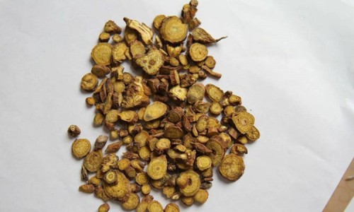 黄蜀葵花对前列腺炎的作用-黄蜀葵花的产地及药用网黄蜀葵花的图片知识网站,分享黄蜀葵花图片大全大全